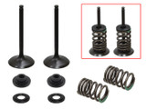 Psychic Psychic Intake Valve Kit