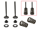 Psychic Exhaust Valve Kit XU-09549EK