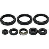 Vertex Engine Oil Seal Kit 822403
