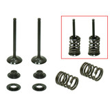 Psychic Valve Kit- Intake XU-09558IK