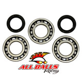 All Balls Racing Crankshaft Bearing And Seal Kit 24-1077
