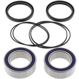 All Balls Racing Wheel Bearing Kit Rear 25-1401