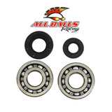 All Balls Racing Allballs Crank Bearing And Seal Kit 24-1029