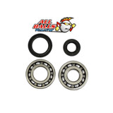All Balls Racings Crank Bearing And Seal Kit 24-1069