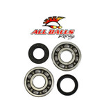 All Balls Racings Crank Bearing And Seal Kit 24-1065