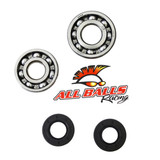 All Balls Racing Allballs Crank Bearing And Seal Kit 24-1007