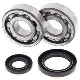 All Balls Racing Allballs Crank Bearing And Seal Kit 24-1019