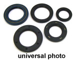 Vertex Engine Oil Seal Kit 822136