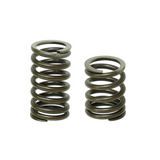 Bronco Intake And Exhaust Valvesprings AU-09518S-3