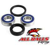 All Balls Racing Wheel Bearing Kit 25-1071