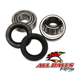 All Balls Racing Wheel Bearing Kit 25-1002