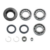 Bronco Differntial Bearing Kit AT-03A17