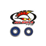 All Balls Racing Wheel Bearing Kit Front Wheel 25-1177