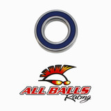 All Balls Racing Bearing 6007-2Rs Double Lip Seals 6007-2RS