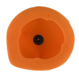 Twin Air Air Filter Tm 158071