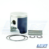 WSM Kawi 900 Std Platinum Piston 010-840PK