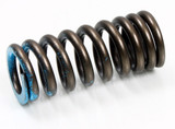 Psychic Psychic Intake Valve Spring
