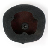 Twin Air Backfire Repl. Filter Honda 150222FR