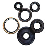 Vertex Engine Oil Seal Kit 822978
