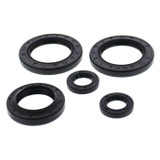 Vertex Engine Oil Seal Kit 822144