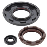 Vertex Engine Oil Seal Kit 55225
