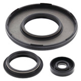 Vertex Engine Oil Seal Kit 55229