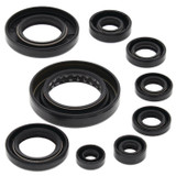 Vertex Engine Oil Seal Kit 822351