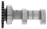 Hotcams Hot Cams Camshaft Intake