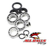 All Balls Racing Differential Kit 25-2071