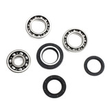 All Balls Racing Differential Bearing Kit 25-2008