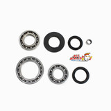 All Balls Racing Differential Bearing Kit 25-2023