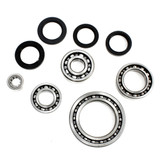 All Balls Racing All Balls Differential Bearing And Seal Kit