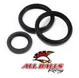 All Balls Racing Differential Seal Kit