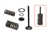 Psychic Exhaust Valve Kit XU-09543EK