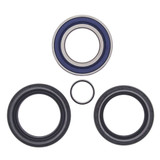 All Balls Racings Wheel Bearing Kit 25-1572