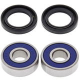 All Balls Racing Wheel Bearing Kit Front Wheel 25-1027