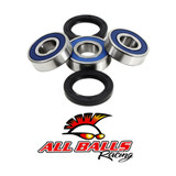 All Balls Racing Wheel Bearing Kit 25-1155