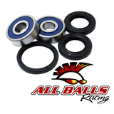 All Balls Racing Wheel Bearing Kit 25-1448