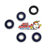 All Balls Racing Wheel Bearing Kit Rear 25-1220