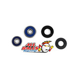 All Balls Racing Wheel Bearing Kit Rear 25-1171
