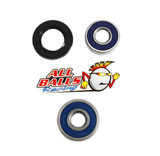 All Balls Racing Wheel Bearing Kit Rear 25-1244