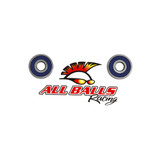 All Balls Racing Wheel Bearing Kit Front Wheel 25-1138