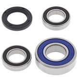 All Balls Racing Wheel Bearing Kit Rear 25-1162