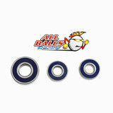 All Balls Racing Wheel Bearing Kit Rear 25-1440