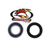 All Balls Racing Rear Wheel Bearing Kit - Both Wheels 25-1118