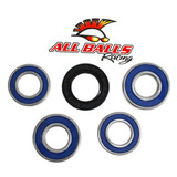 All Balls Racing Wheel Bearing Kit Rear 25-1106