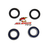 All Balls Racing Rear Wheel Bearing Kit - Both Wheels 25-1321