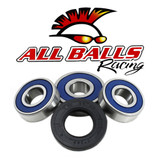All Balls Racing Wheel Bearing Kit 25-1494