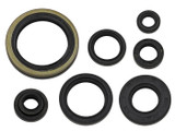 Namura Engine Oil Seal Set 10Pcs NX-09289