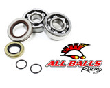 All Balls Racing Crank Bearing And Seal Kit 24-1103